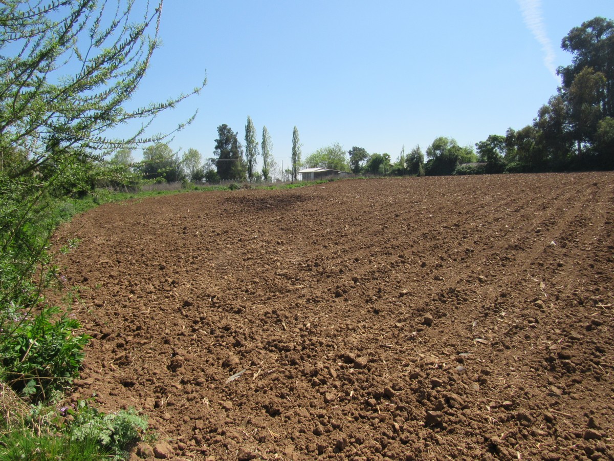 foto Parcela 4.16 Hectáreas 2