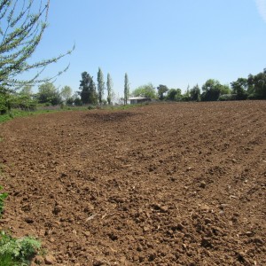 Parcela 4.16 Hectáreas