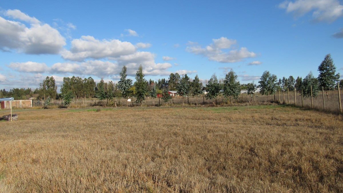 foto Parcela de Agrado 6