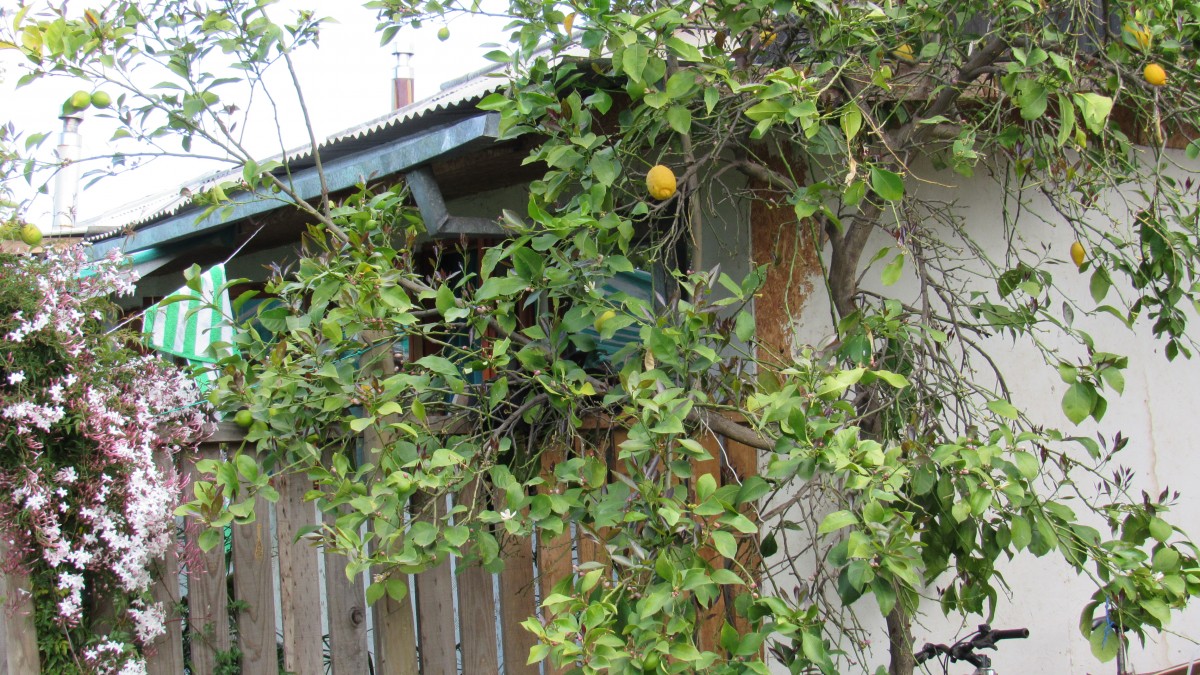 foto Casa Villa Magisterio 4