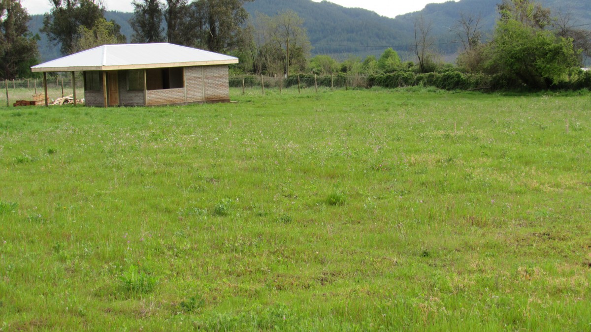 foto Terreno 5.000 M2 con cabaña. 18