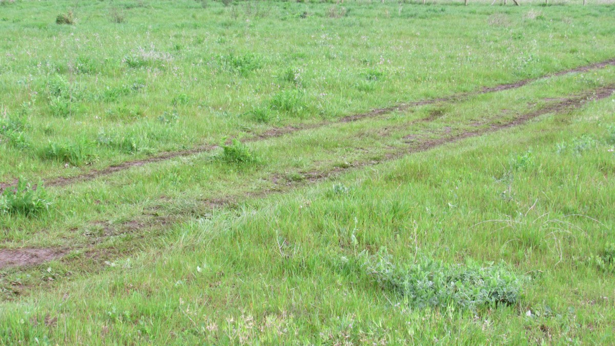 foto Terreno 5.000 M2 con cabaña. 17