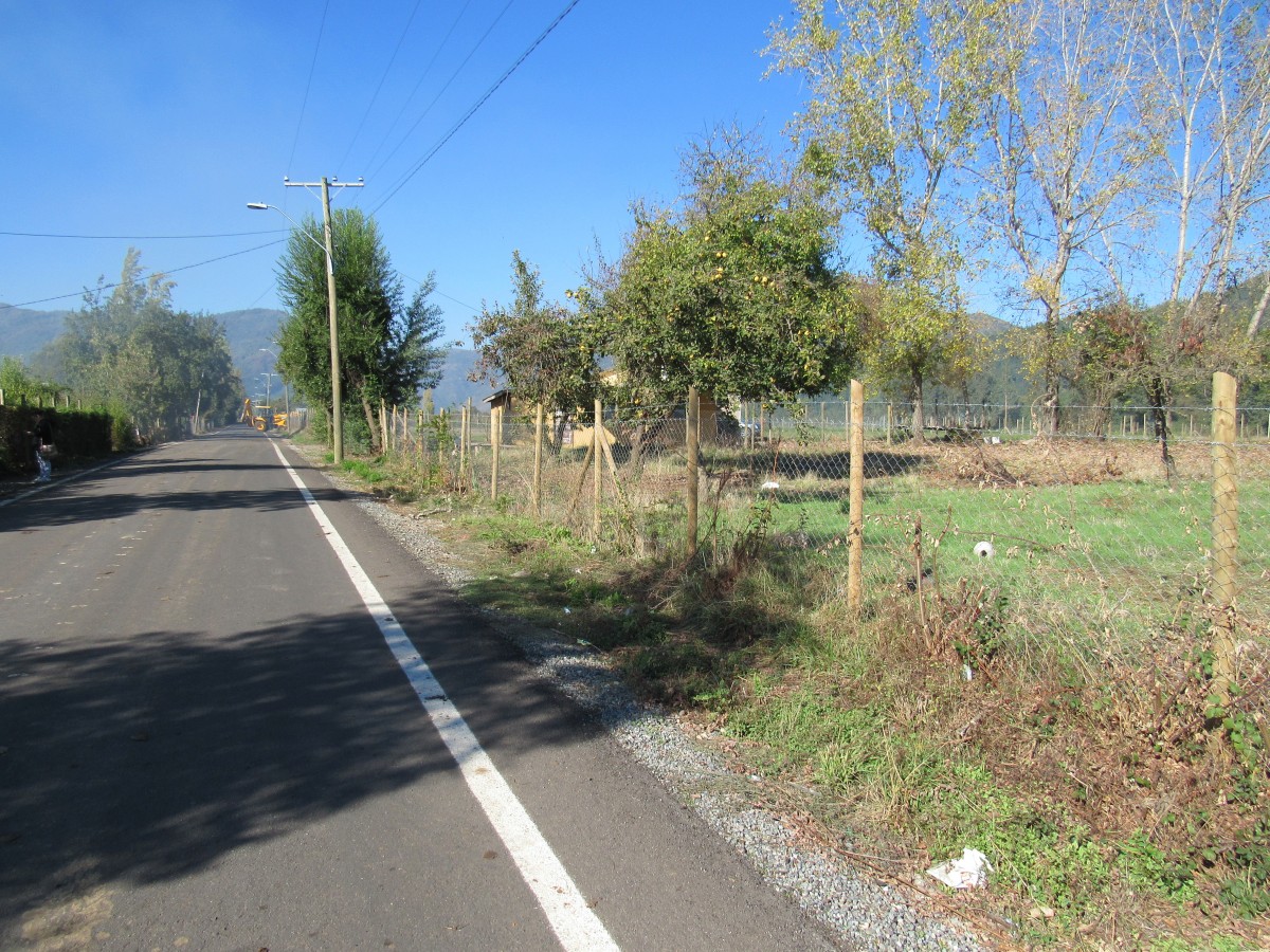 foto Terreno 5.000 M2 con cabaña. 5