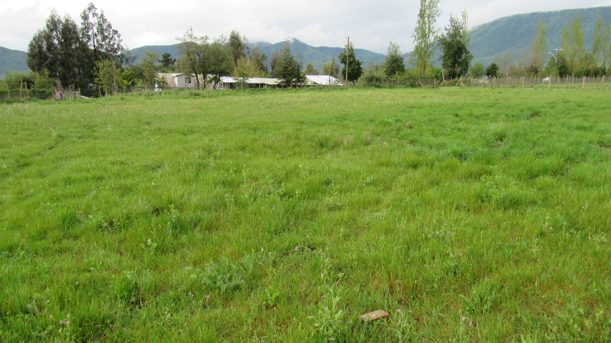 foto Terreno 5.000 M2 con cabaña. 13