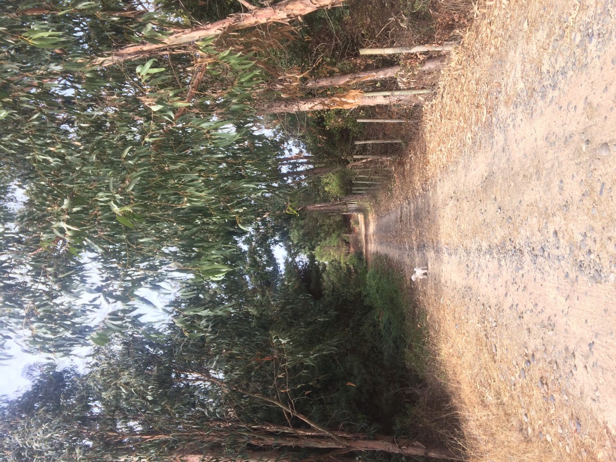 foto Parcela Agrado 5.040 M2 Comuna Constitución. 8
