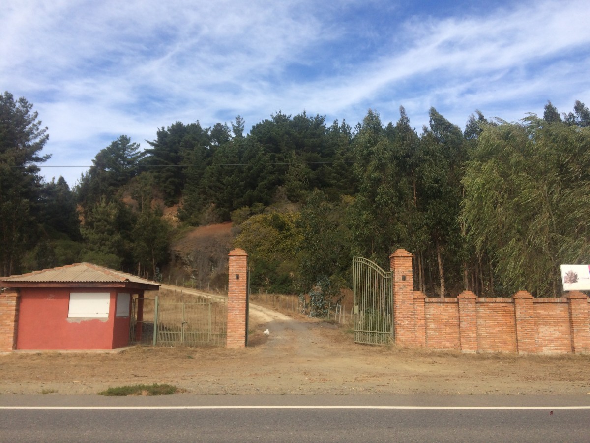 foto Parcela Agrado 5.040 M2 Comuna Constitución. 4