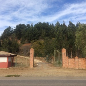 Parcela Agrado 5.040 M2 Comuna Constitución.
