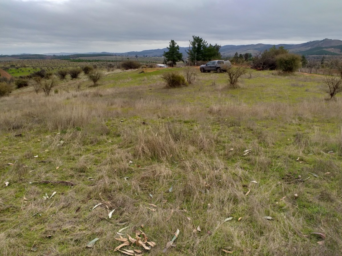 foto Terreno de 8.500 M2 4