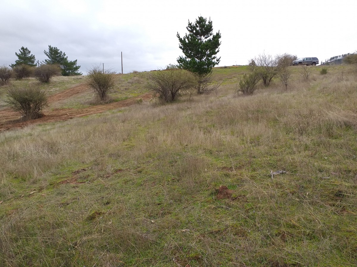 foto Terreno de 8.500 M2 7