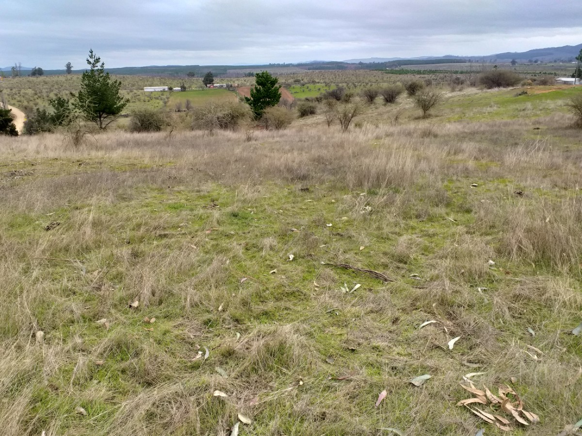 foto Terreno de 8.500 M2 5