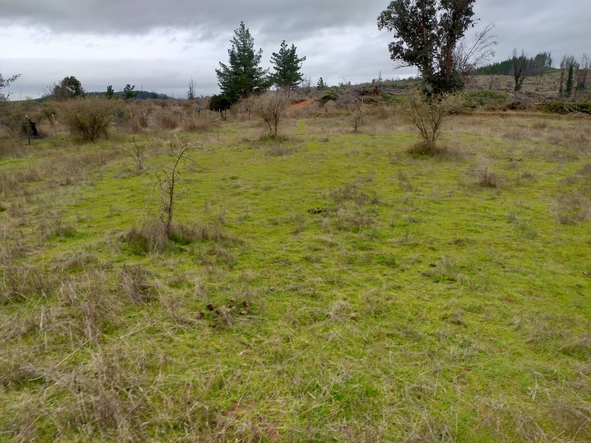foto Terreno de 8.500 M2 1