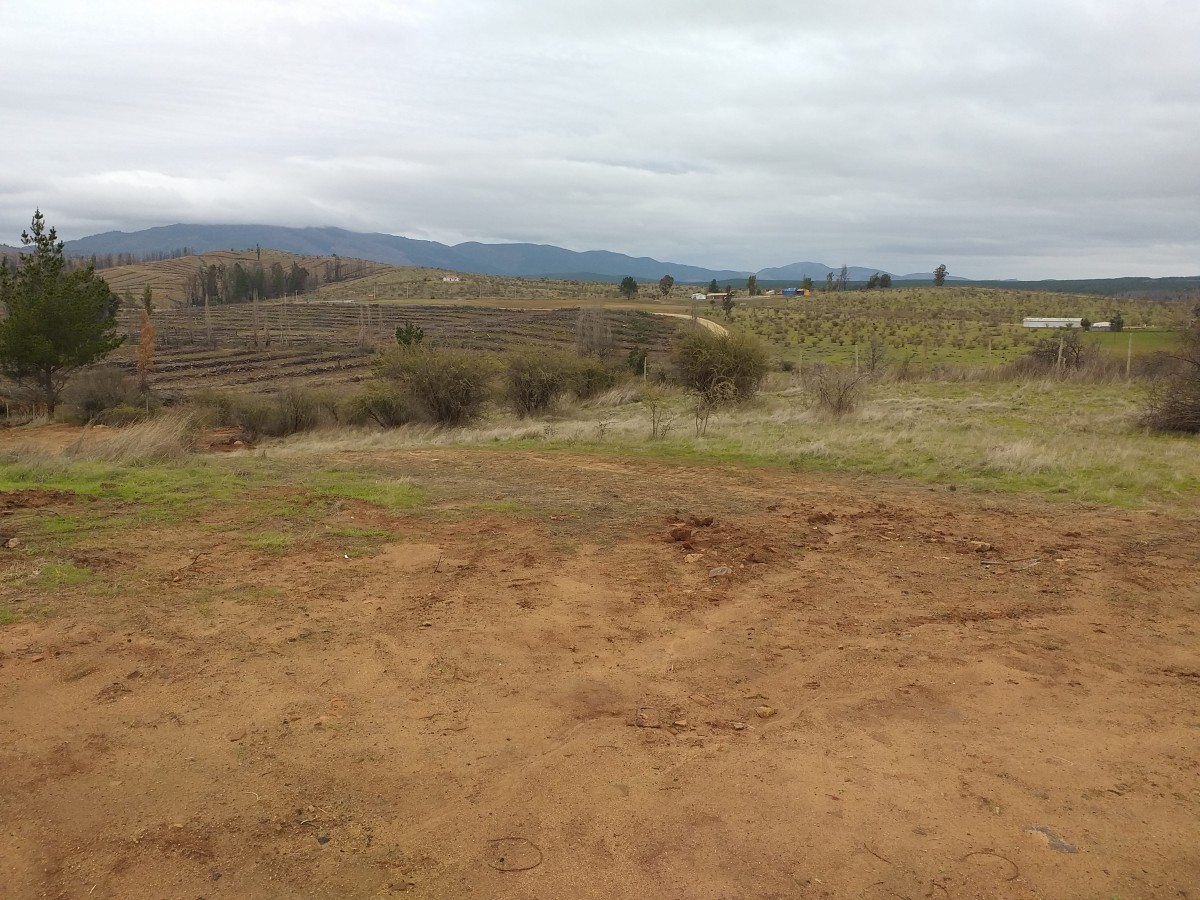 foto Terreno de 8.500 M2 9