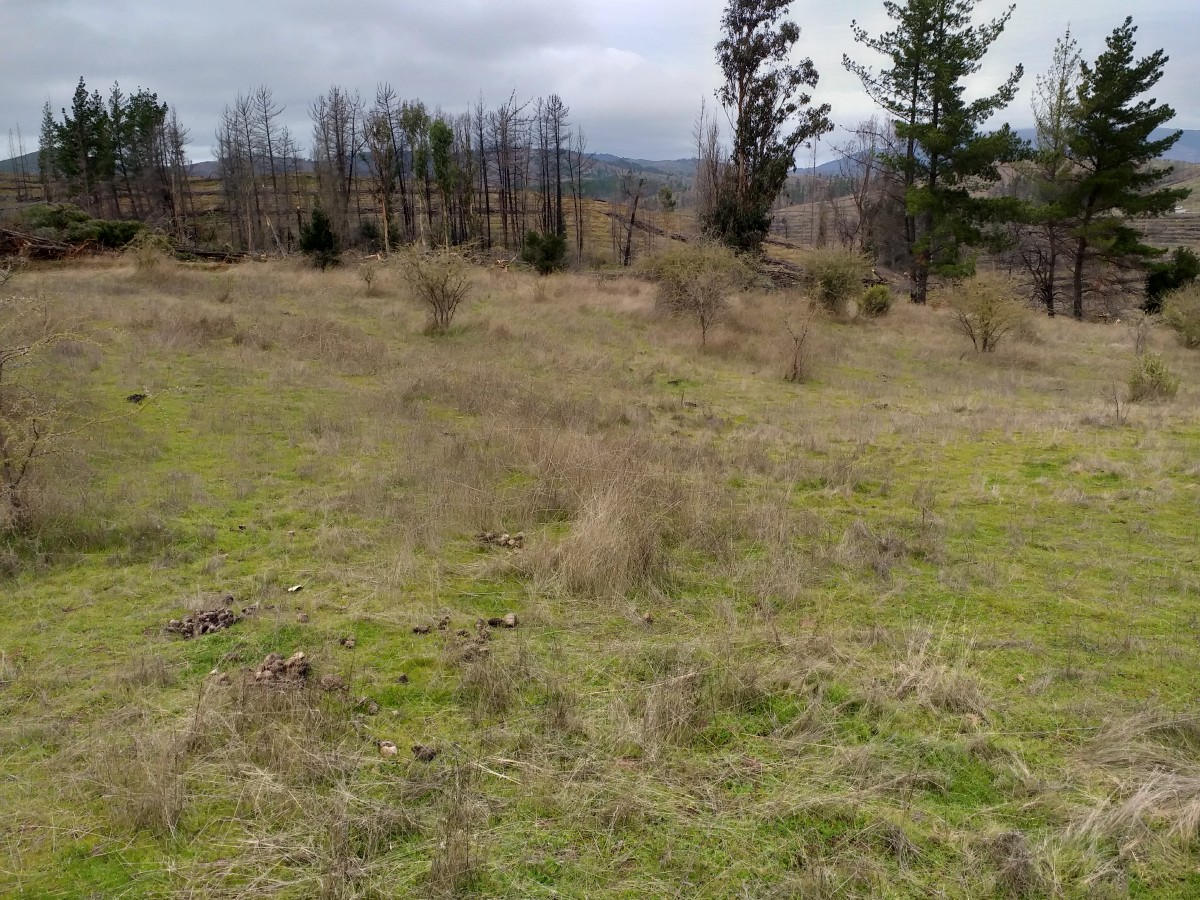 foto Terreno de 8.500 M2 3