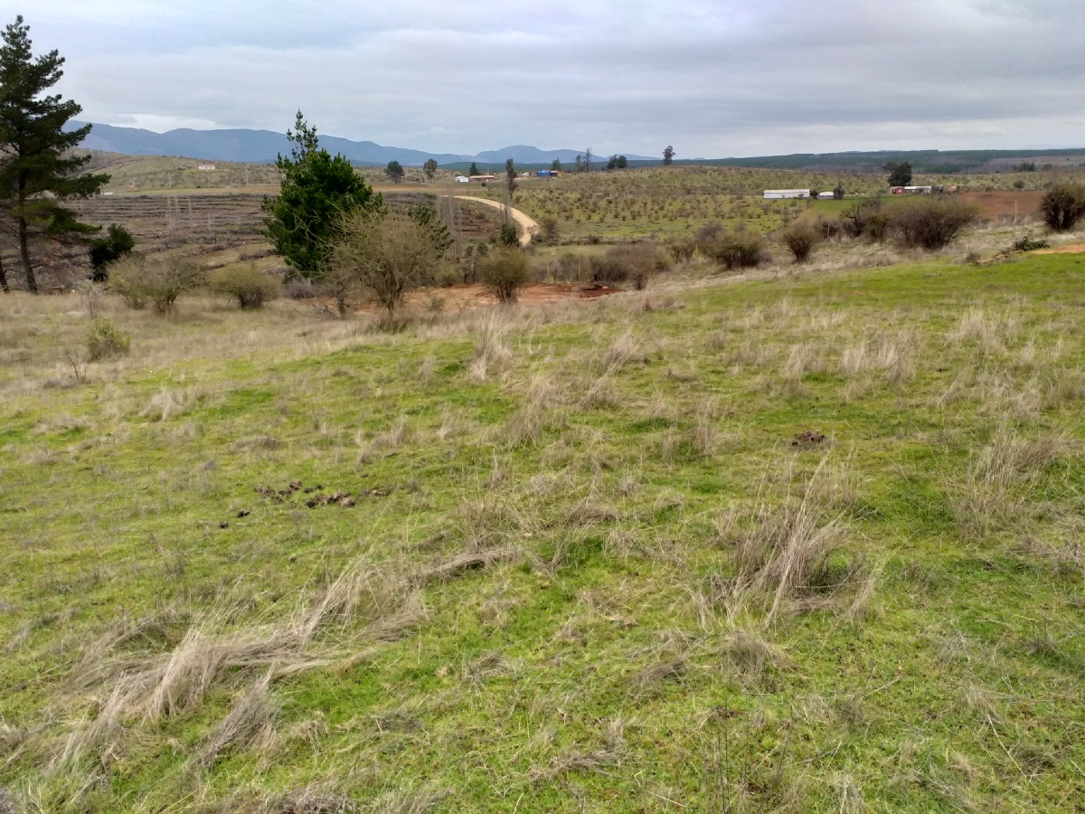 foto Terreno de 8.500 M2 2