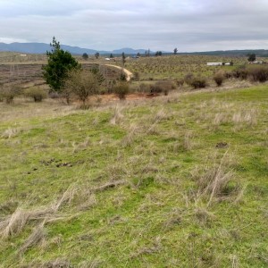 Terreno de 8.500 M2