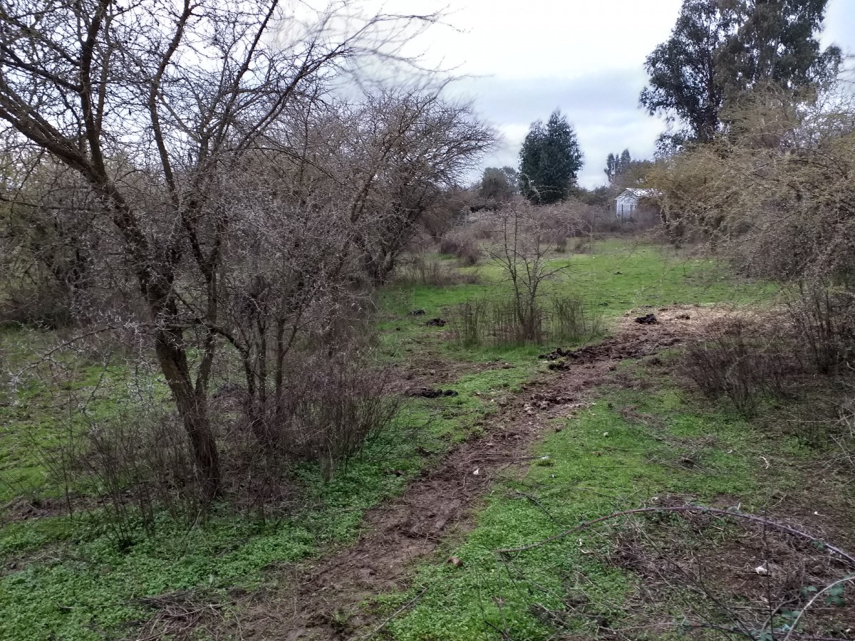 foto Vendo terreno 9.900 M2 3