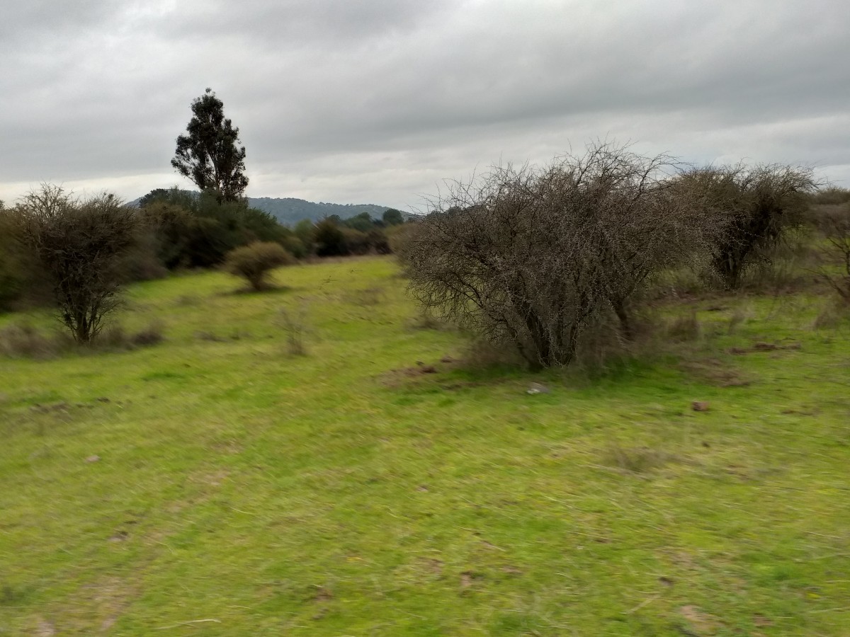foto Vendo terreno 9.900 M2 2