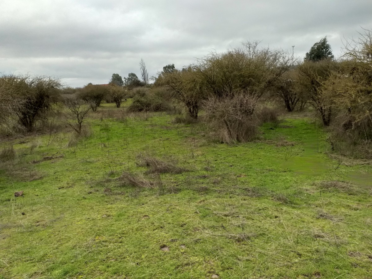 foto Vendo terreno 9.900 M2 4