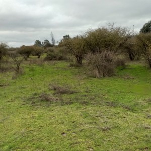 Vendo terreno 9.900 M2