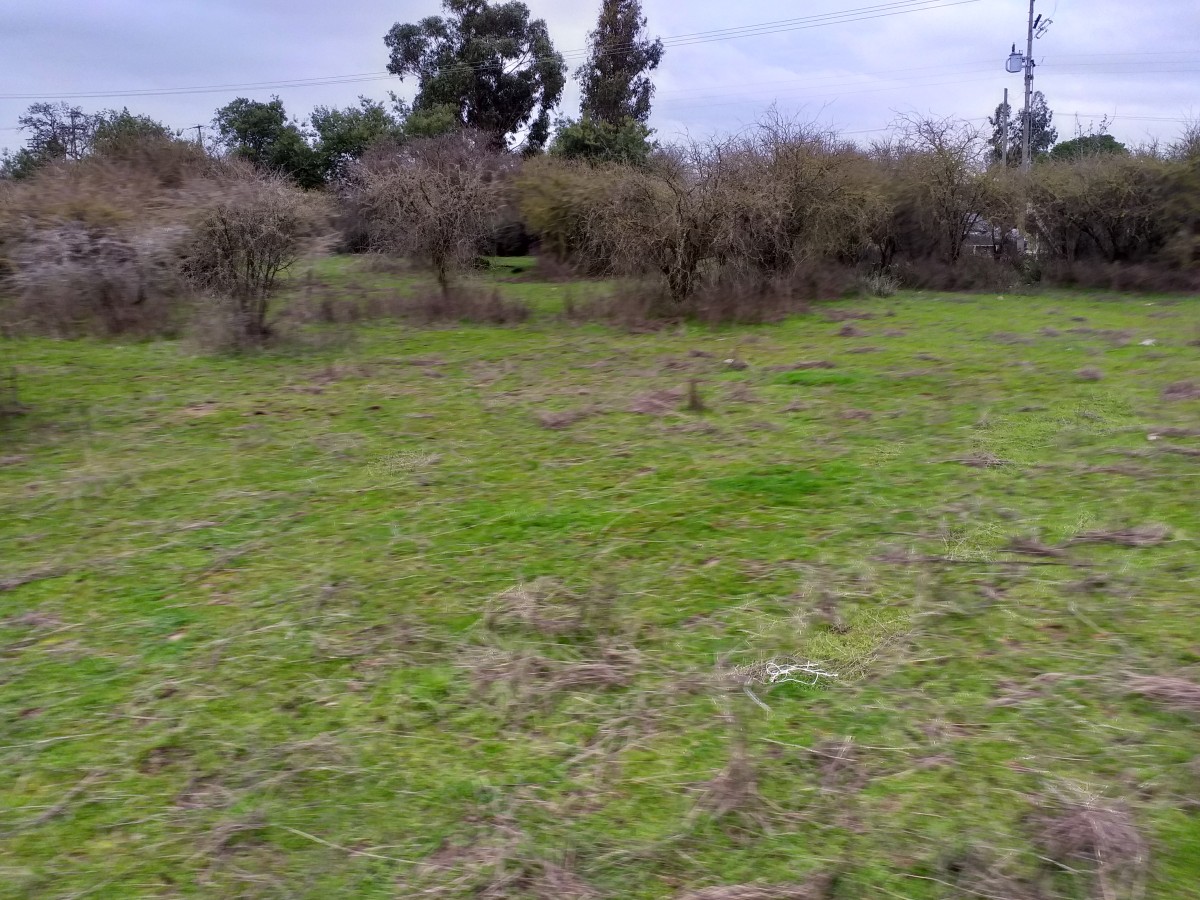 foto Vendo terreno 9.900 M2 1
