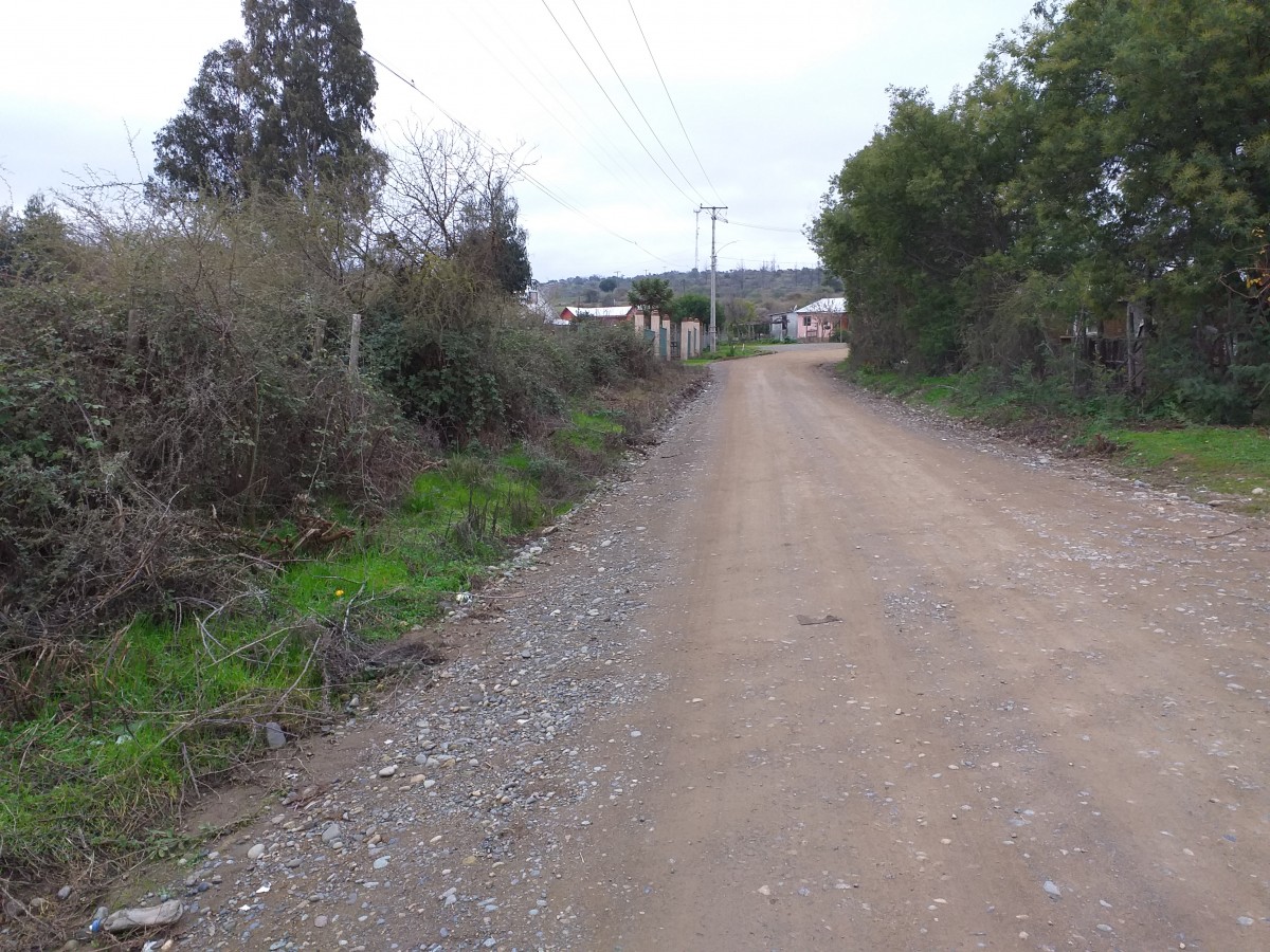 foto Vendo terreno 9.900 M2 7