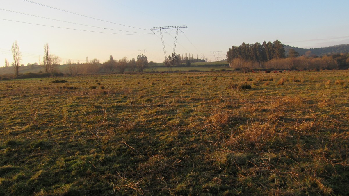 foto Parcela 23.90 Has. 36