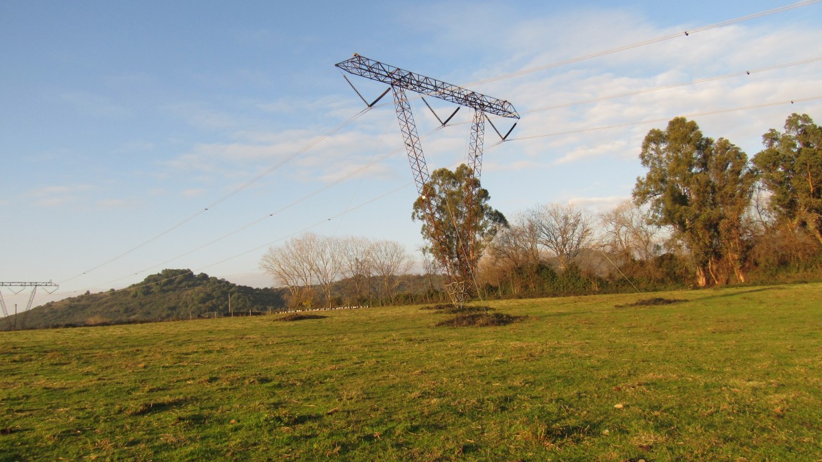 foto Parcela 23.90 Has. 19