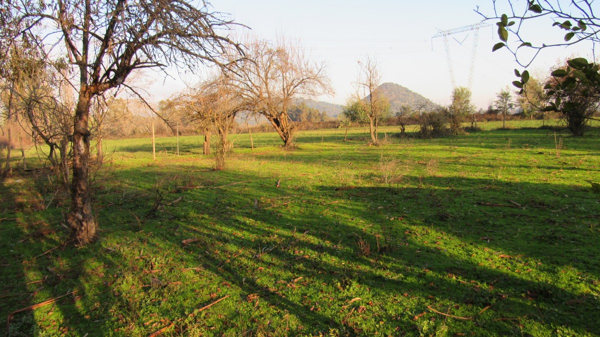 foto Parcela 23.90 Has. 11