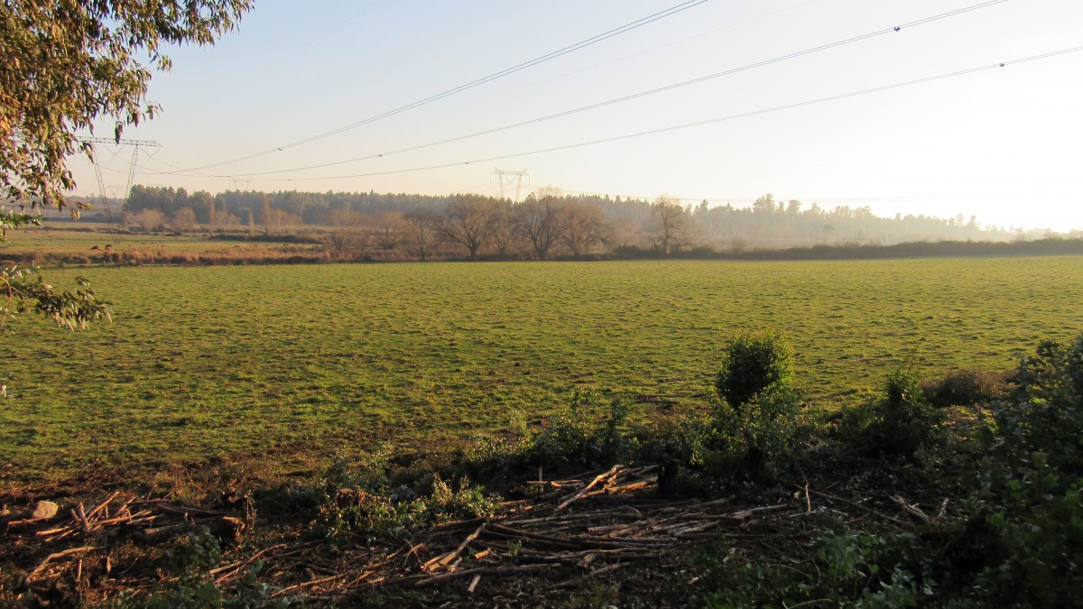 foto Parcela 23.90 Has. 23