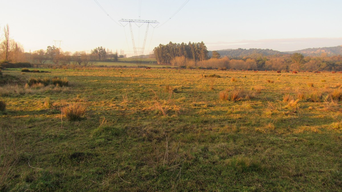 foto Parcela 23.90 Has. 35