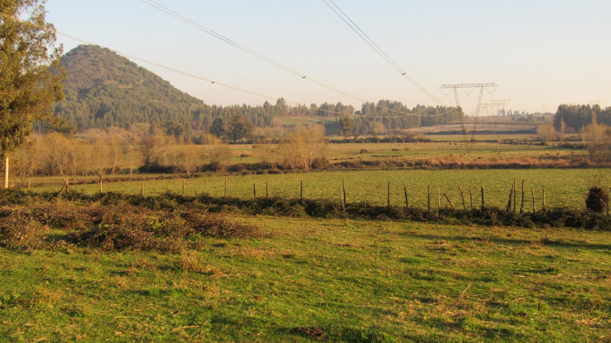 foto Parcela 23.90 Has. 22