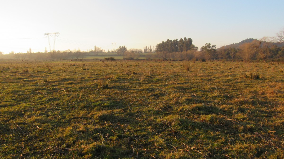 foto Parcela 23.90 Has. 34