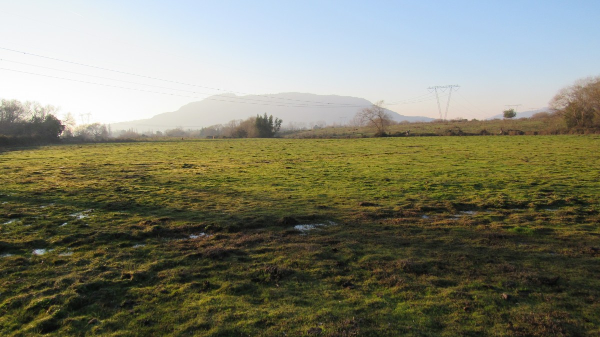 foto Parcela de 40.08 hectáreas 7