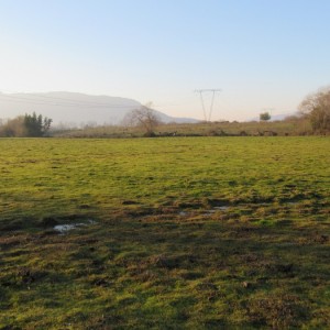 Parcela de 40.08 hectáreas