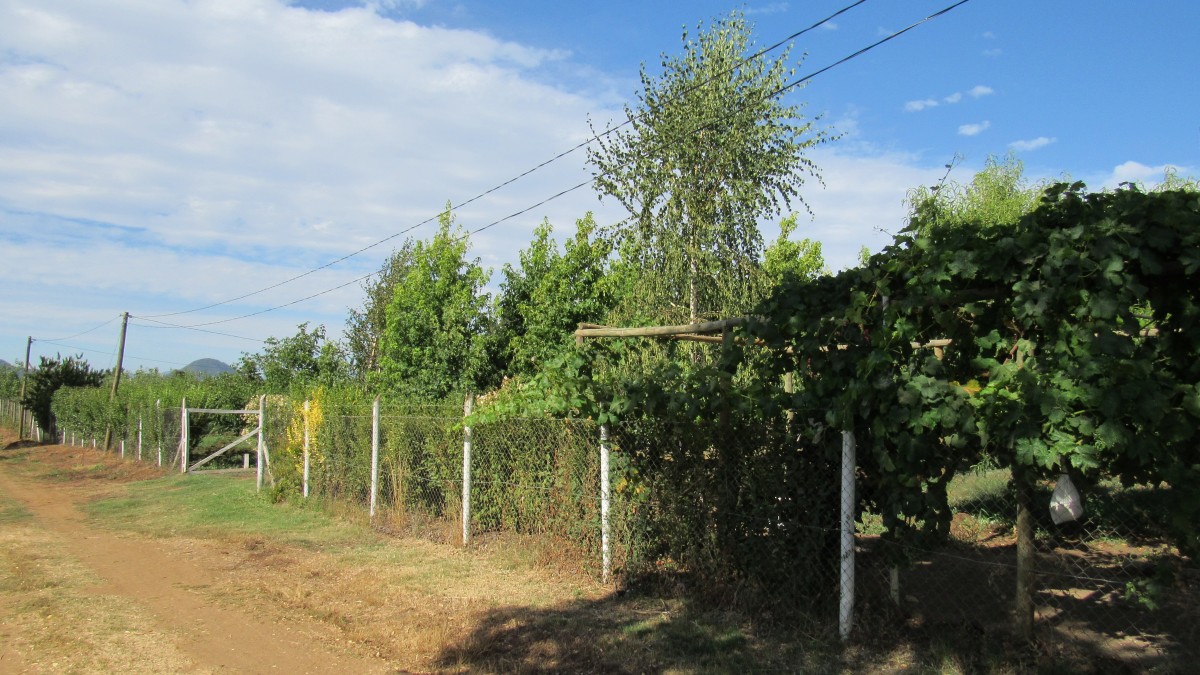 foto Terreno 7.000 M2 15
