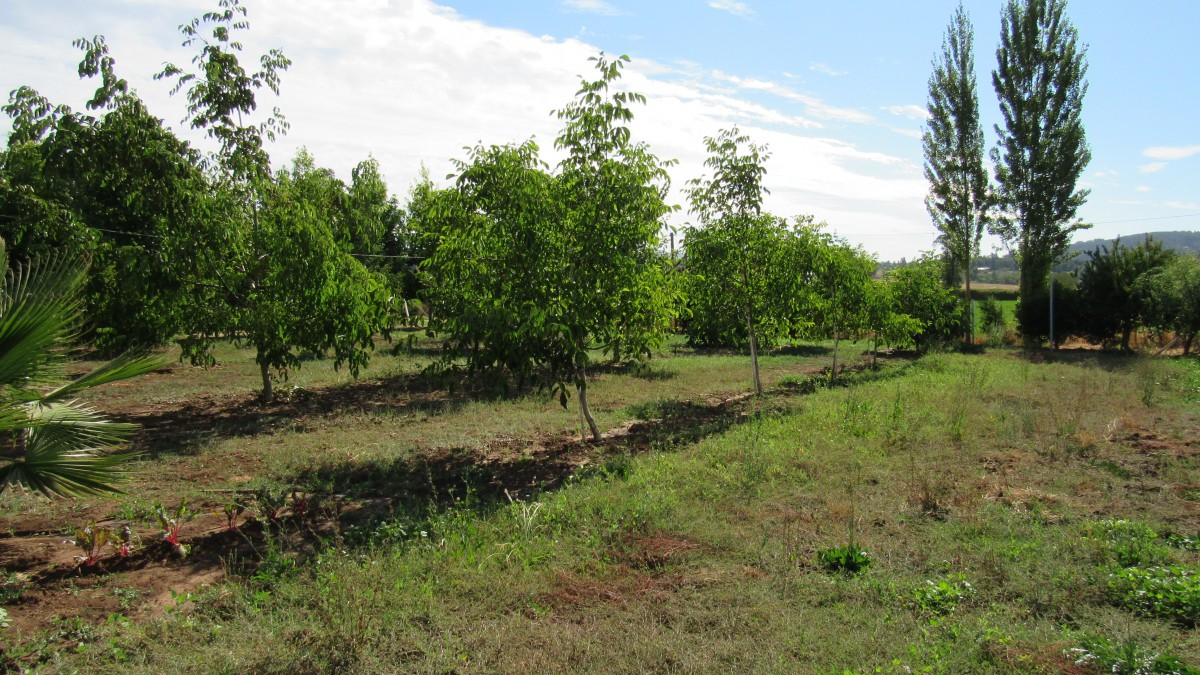 foto Terreno 7.000 M2 18