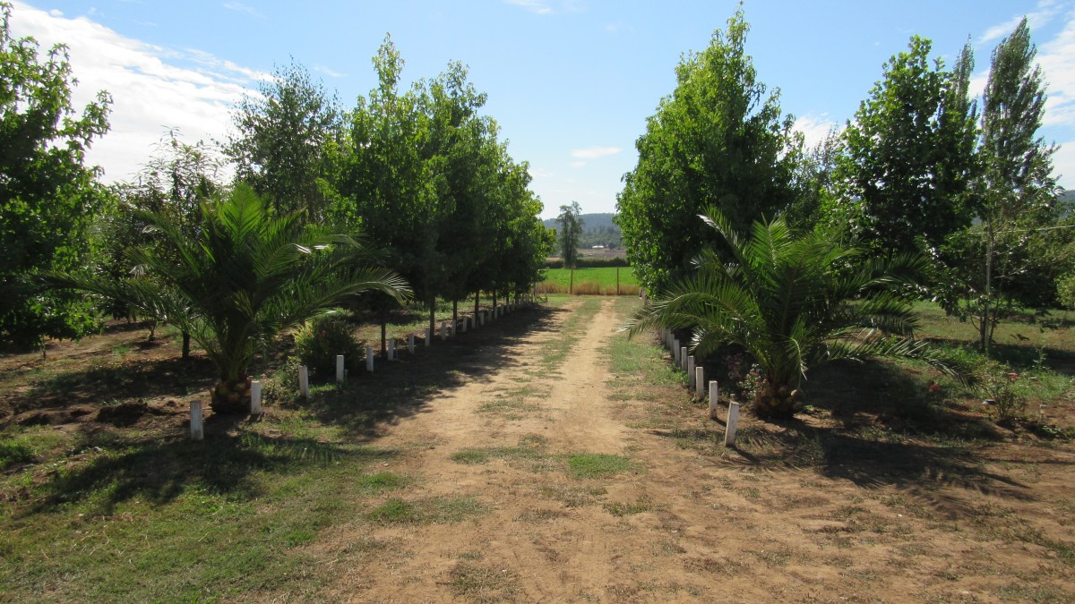 foto Terreno 7.000 M2 14