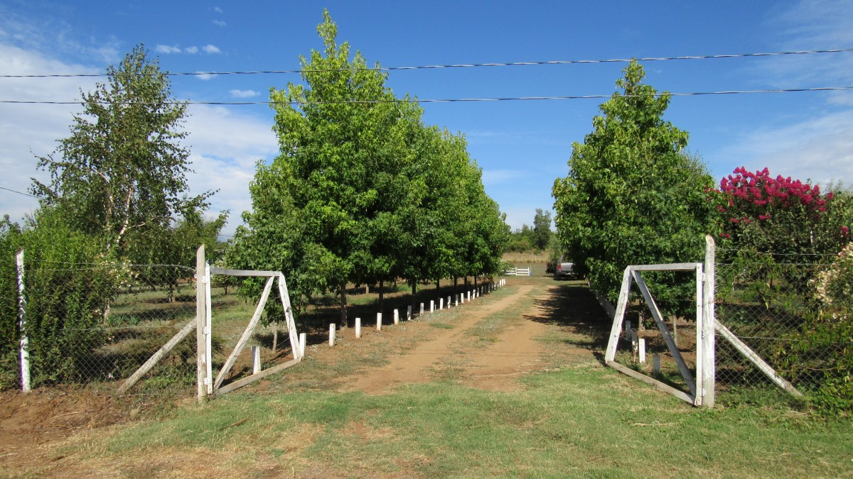 foto Terreno 7.000 M2 16