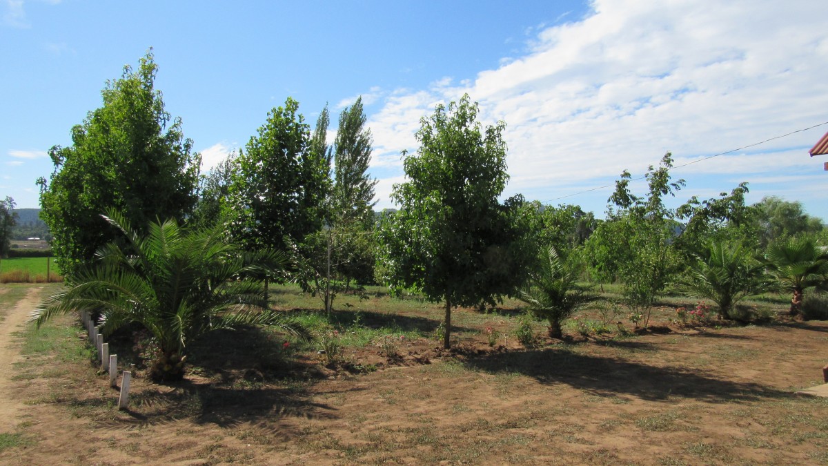 foto Terreno 7.000 M2 5