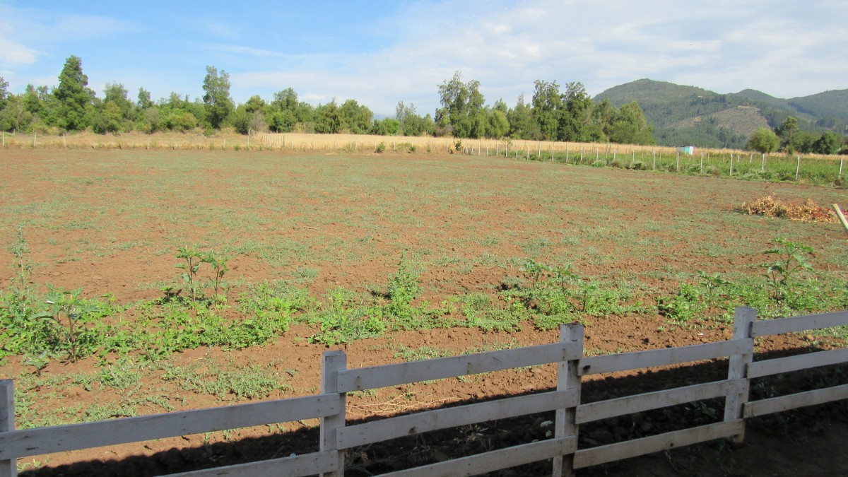 foto Terreno 7.000 M2 17