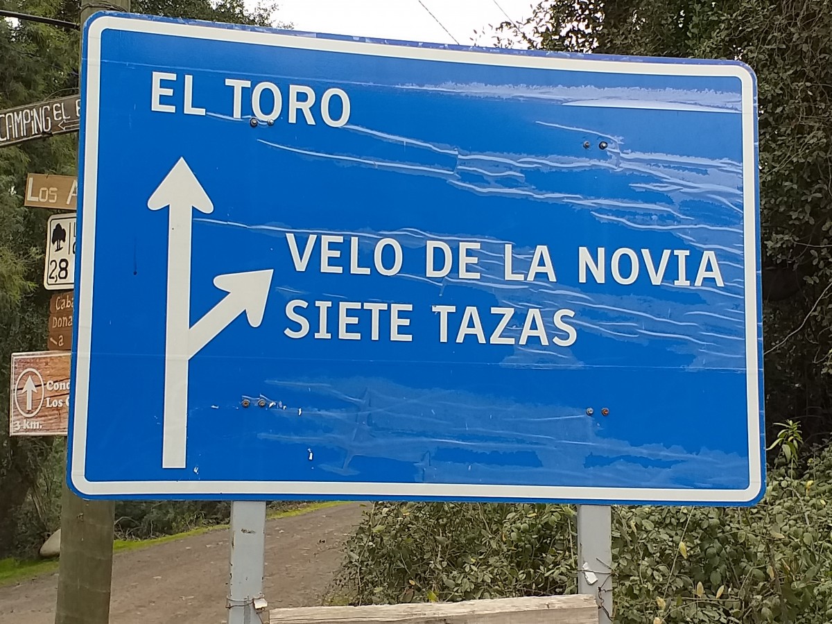 foto Parcela 5 hectáreas. 19