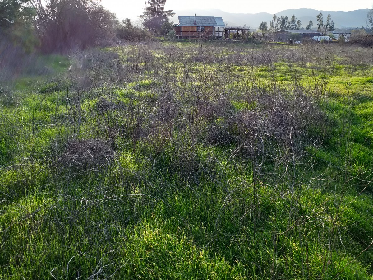 foto Terreno 3.900 M2. 6