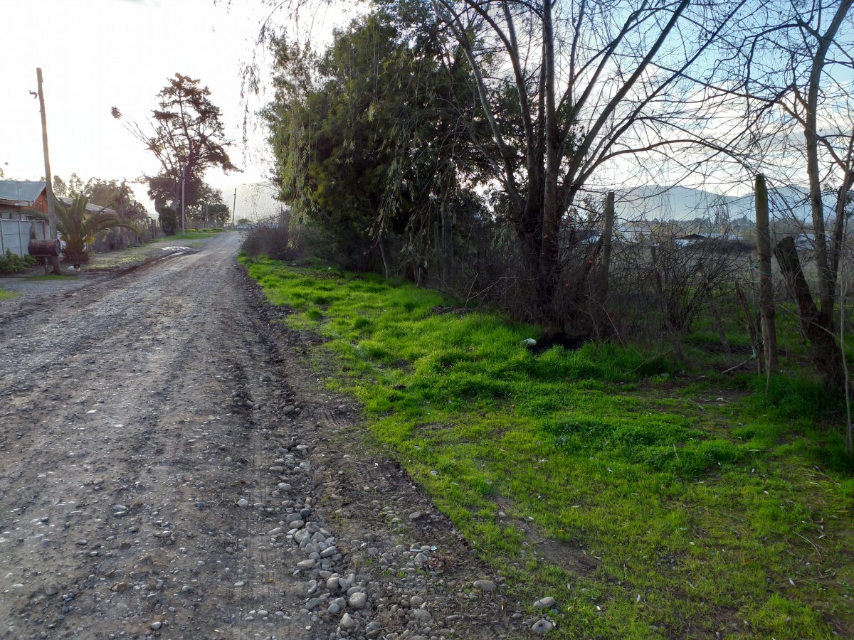 foto Terreno 3.900 M2. 2