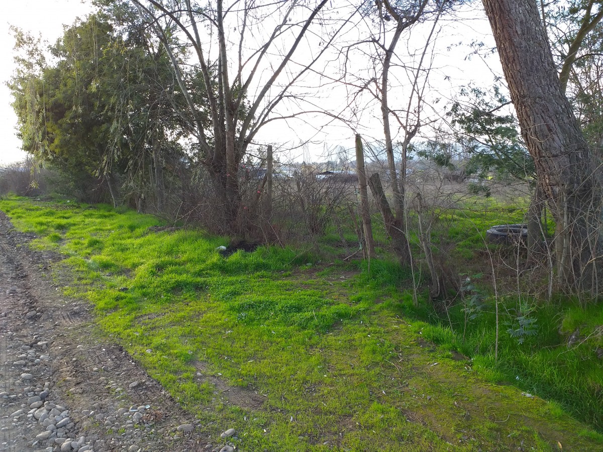foto Terreno 3.900 M2. 4