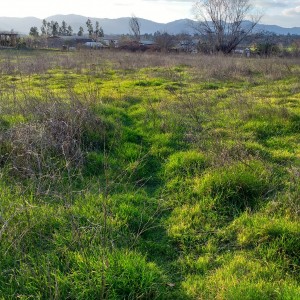 Terreno 3.900 M2.