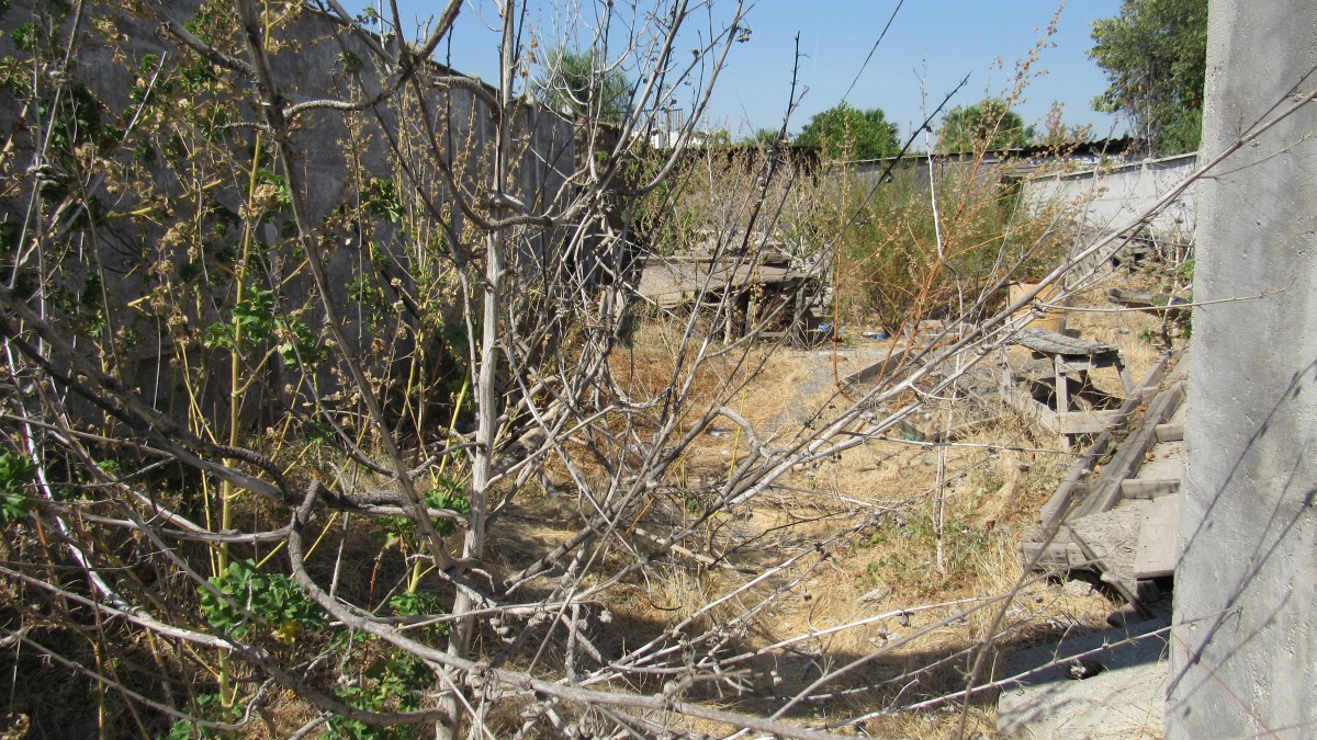 foto Terreno 447 M2 6