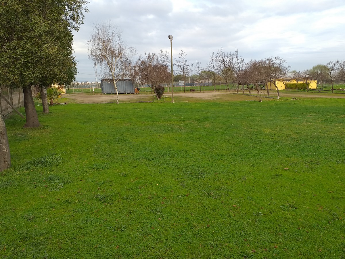 foto Club  deportivo. 17