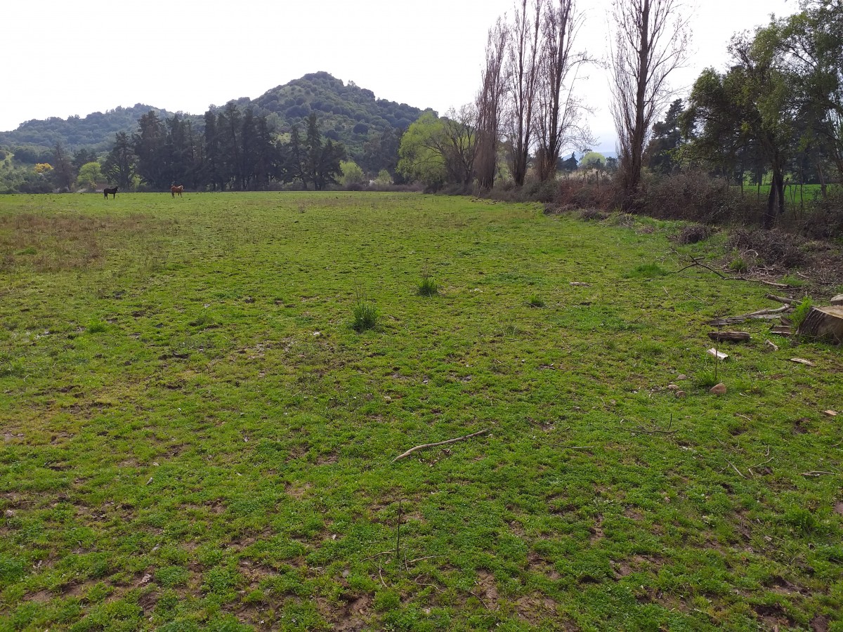 foto Parcela de 24 hectáreas. 15