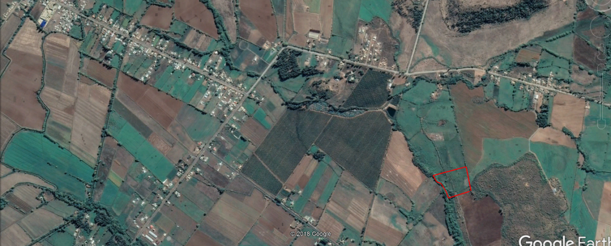foto Parcela de 3.2 hectáreas. 7