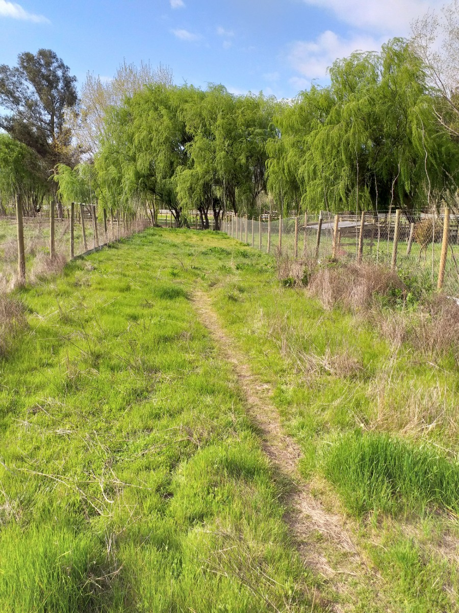 foto Terreno 5.000 M2. 3